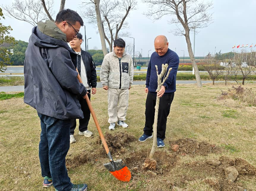 春风添新绿，植树正当时